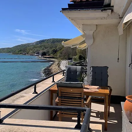 Rosina - Carpe Diem Balchik